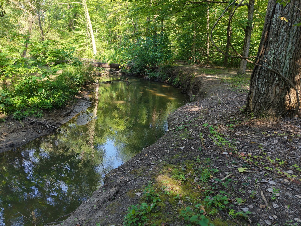 Photo 1 of Land for sale at 8040 W Martin Rd, Three Oaks, MI 49128 | MLS# 70555392 | Listing updated on 2026-09-23