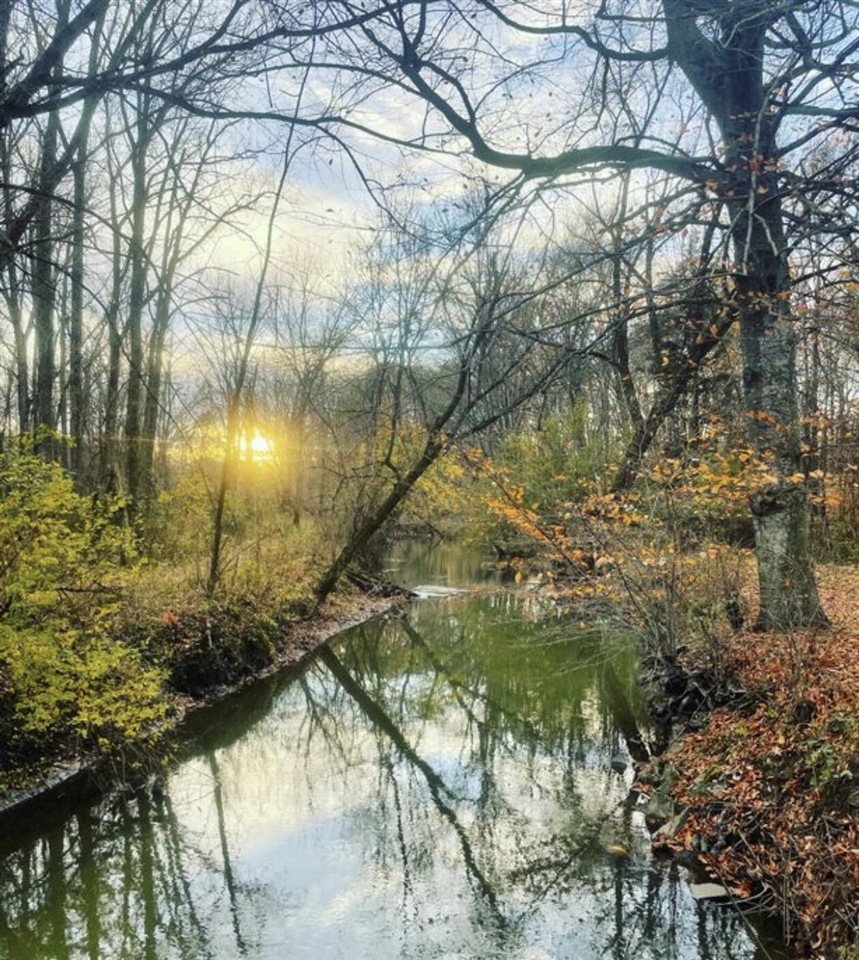 Photo 3 of Land for sale at 8040 W Martin Rd, Three Oaks, MI 49128 | MLS# 70555392 | Listing updated on 2026-09-23