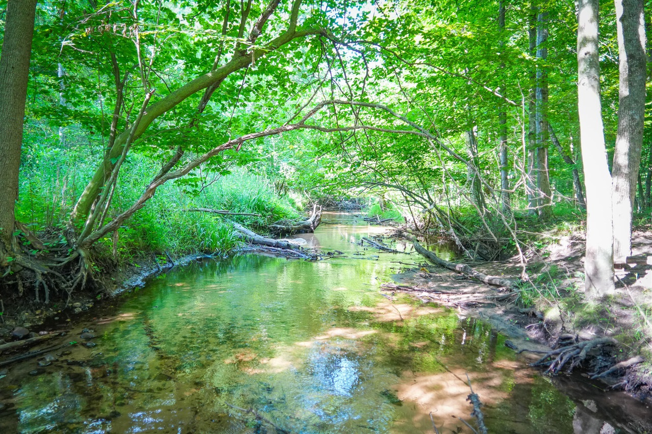Photo 3 of Land for sale at V/l S 20a 168th Ave, Hesperia, MI 49421 | MLS# 70555794 | Listing updated on 2026-10-07