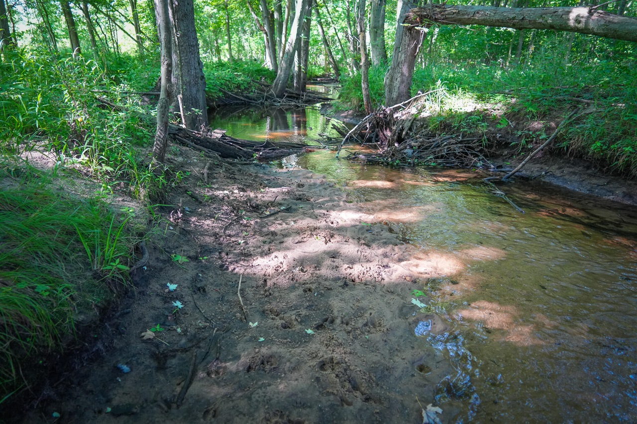 Photo 3 of Land for sale at V/l S 20a 168th Ave, Hesperia, MI 49421 | MLS# 70555794 | Listing updated on 2026-10-07