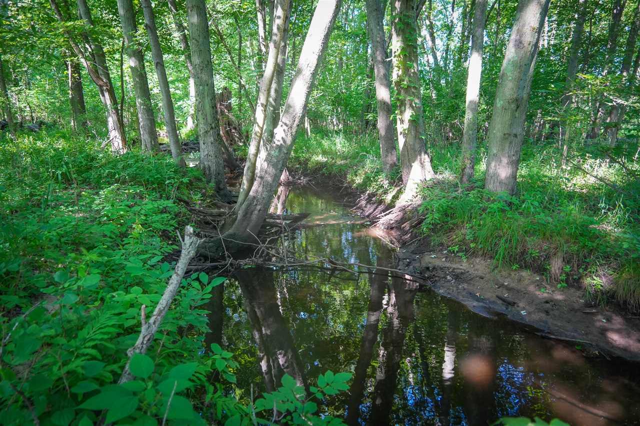 Photo 4 of Land for sale at V/l S 20a 168th Ave, Hesperia, MI 49421 | MLS# 70555794 | Listing updated on 2026-10-07