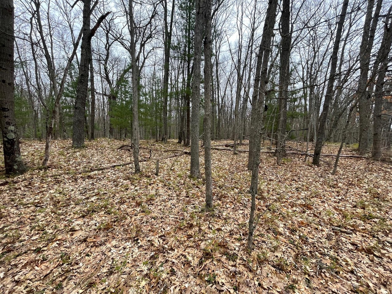 Land for sale at V/l Coates Hwy, Brethren, MI 49619 | MLS# 70556017
