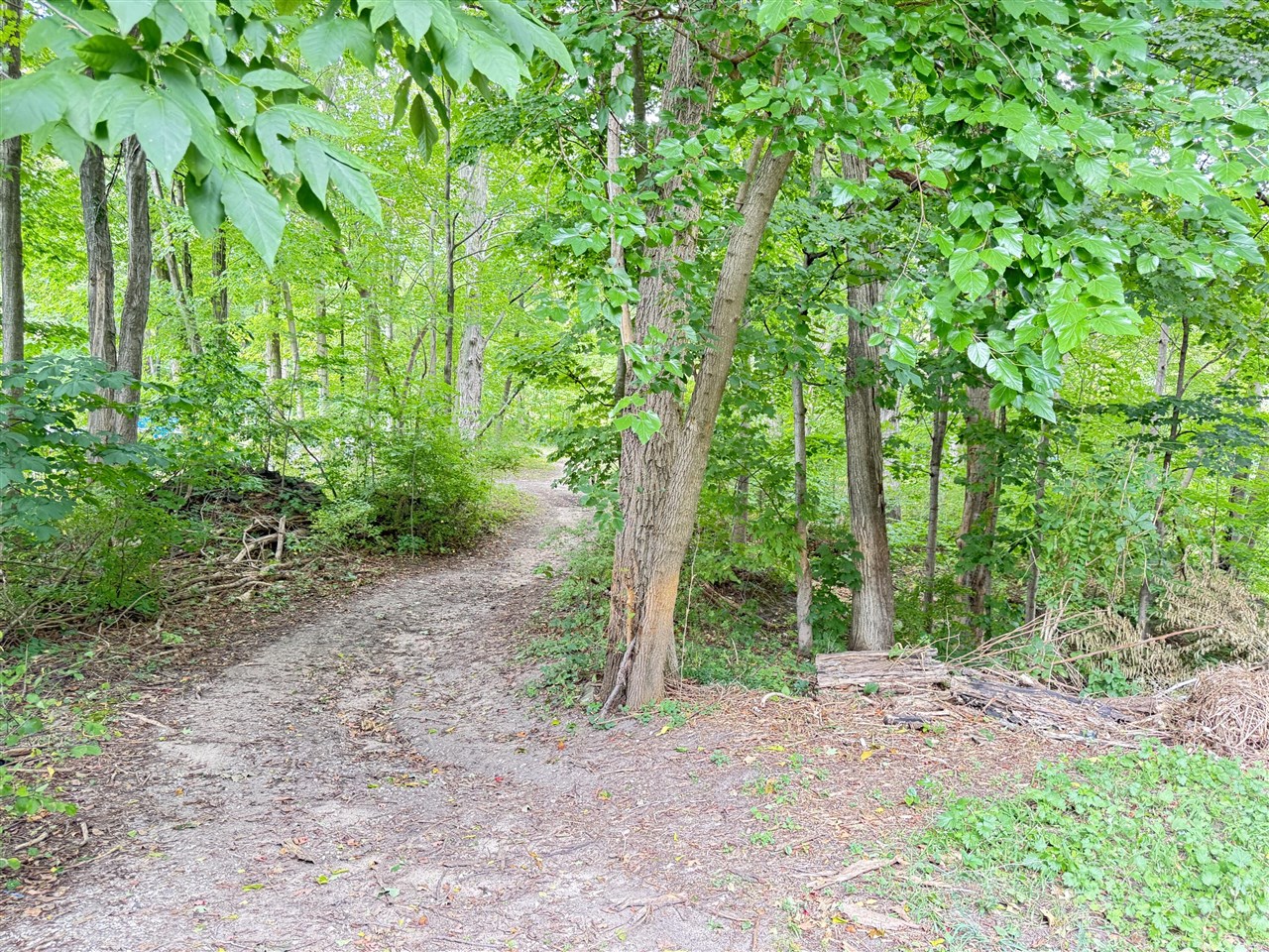 Photo 1 of Land for sale at 200 S Water St, Hart, MI 49420 | MLS# 70556084 | Listing updated on 2026-10-07