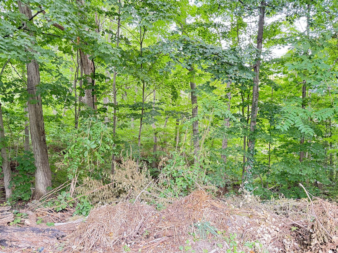 Photo 2 of Land for sale at 200 S Water St, Hart, MI 49420 | MLS# 70556084 | Listing updated on 2026-10-07