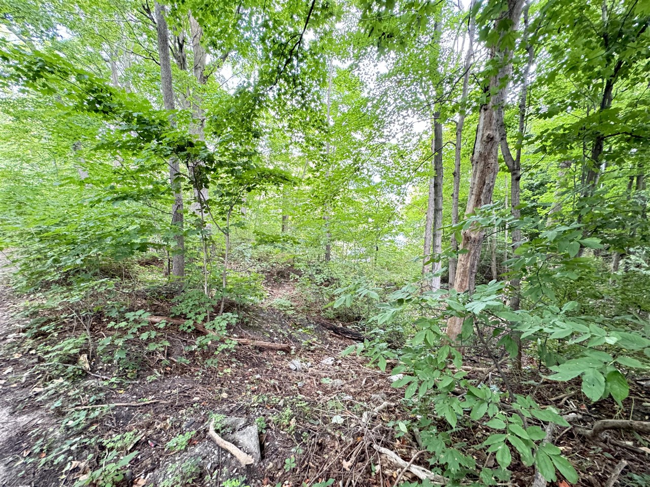 Photo 3 of Land for sale at 200 S Water St, Hart, MI 49420 | MLS# 70556084 | Listing updated on 2026-10-07