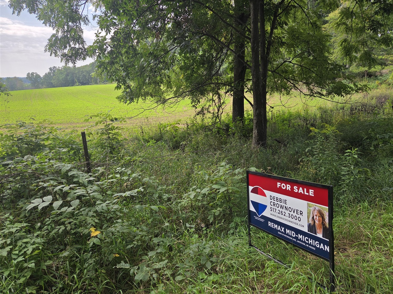 Photo 1 of Land for sale at 0 Crispell Rd, Clarklake, MI 49234 | MLS# 70556103 | Listing updated on 2026-09-27