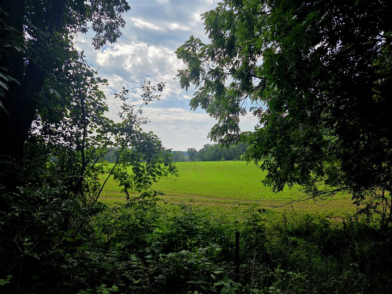 Photo 2 of Land for sale at 0 Crispell Rd, Clarklake, MI 49234 | MLS# 70556103 | Listing updated on 2026-09-27