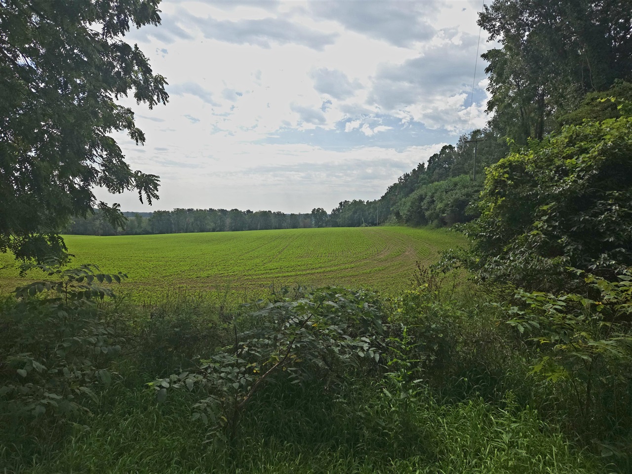 Photo 3 of Land for sale at 0 Crispell Rd, Clarklake, MI 49234 | MLS# 70556103 | Listing updated on 2026-09-27