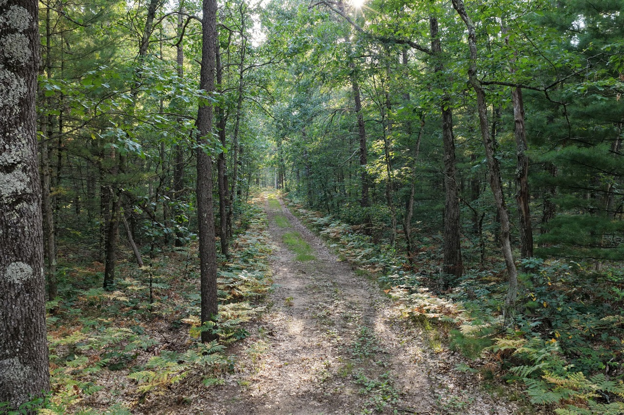 Photo 52 of Single family home for sale at 9676 N Campbell Rd, Free Soil, MI 49411 | MLS# 70556141 | Listing updated on 2026-09-04
