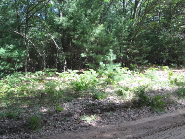 Photo 2 of Land for sale at 0 Victoria Blvd, Pentwater, MI 49449 | MLS# 70556146 | Listing updated on 2026-09-01