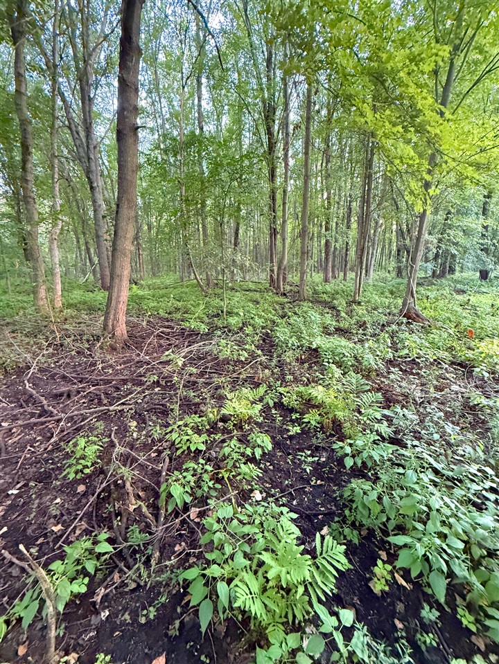 Photo 3 of Land for sale at V/l Onondaga, Holt, MI 48842 | MLS# 70556155 | Listing updated on 2026-09-28