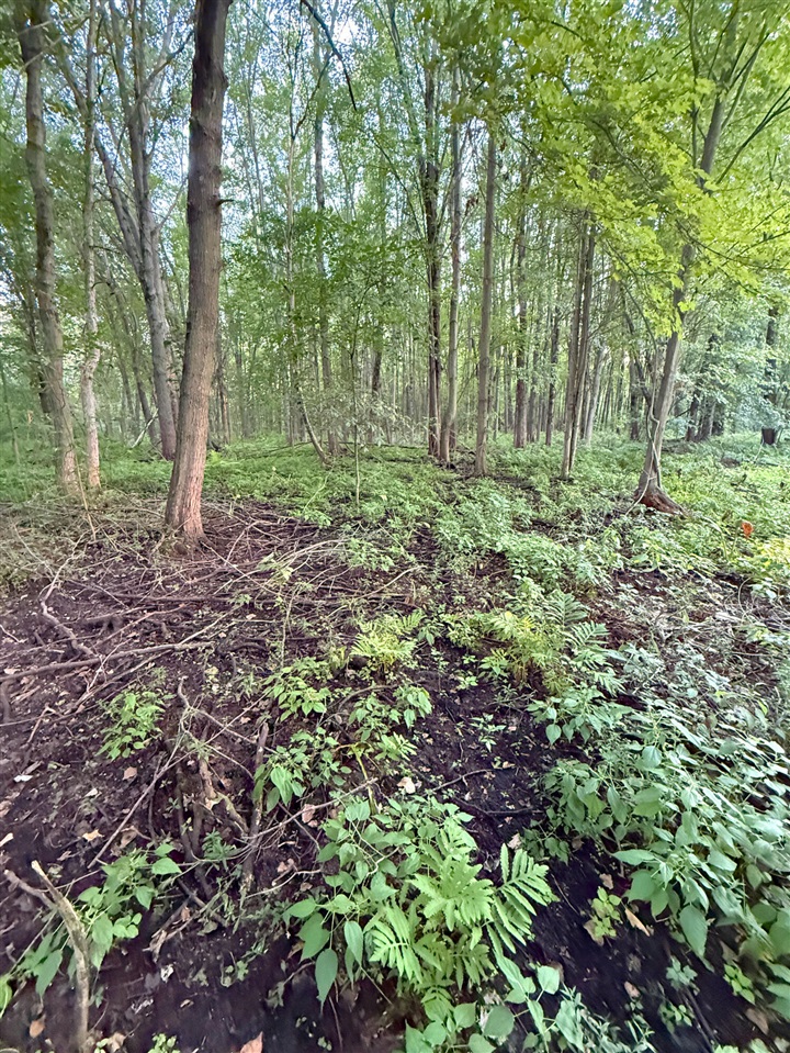 Photo 4 of Land for sale at V/l Onondaga, Holt, MI 48842 | MLS# 70556155 | Listing updated on 2026-09-28