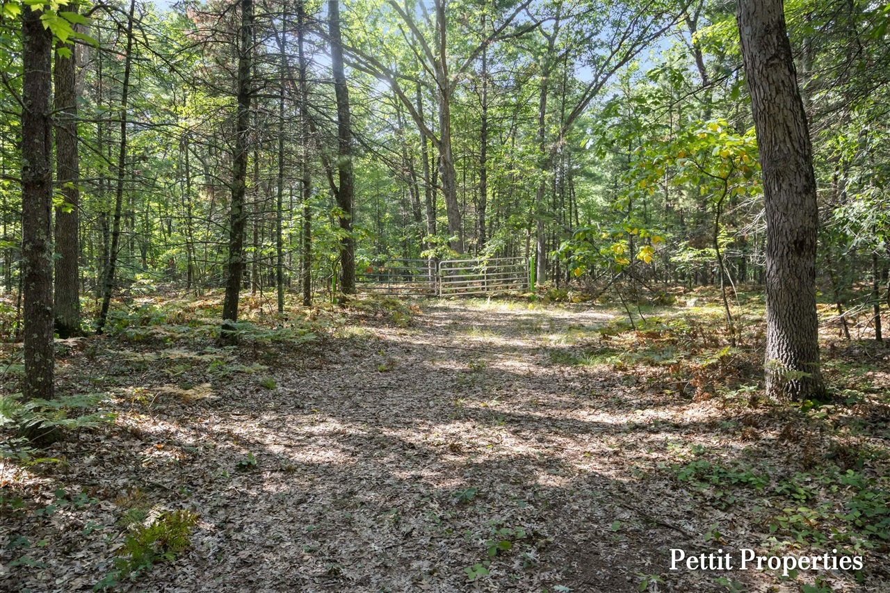 Photo 1 of Land for sale at V/l S 142nd Avenue, Rothbury, MI 49452 | MLS# 70556440 | Listing updated on 2026-09-03