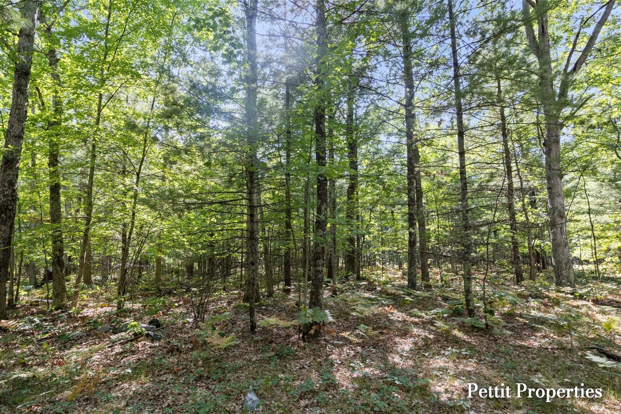 Photo 3 of Land for sale at V/l S 142nd Avenue, Rothbury, MI 49452 | MLS# 70556440 | Listing updated on 2026-09-03
