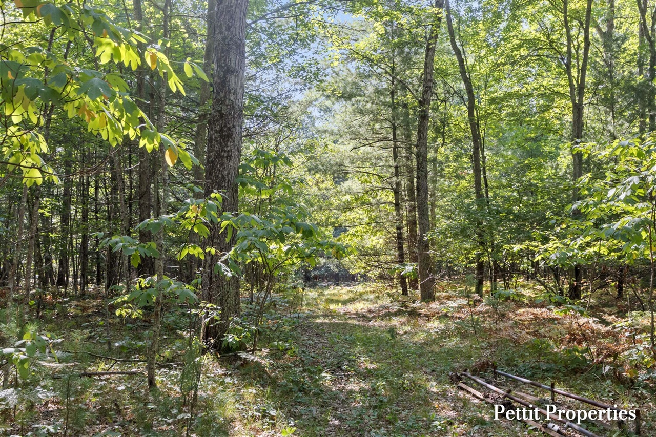 Photo 4 of Land for sale at V/l S 142nd Avenue, Rothbury, MI 49452 | MLS# 70556440 | Listing updated on 2026-09-03