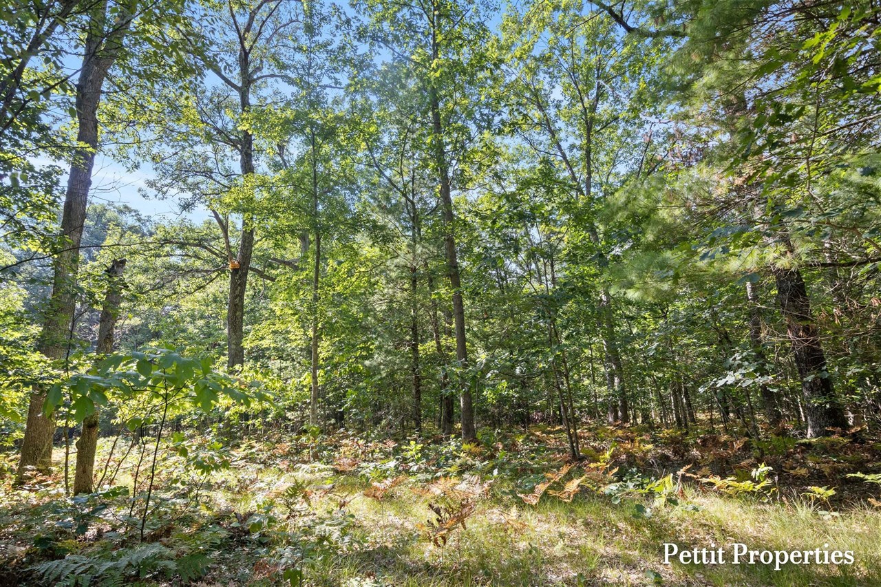 Photo 5 of Land for sale at V/l S 142nd Avenue, Rothbury, MI 49452 | MLS# 70556440 | Listing updated on 2026-09-03