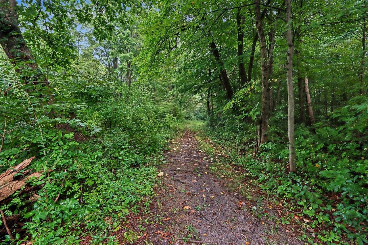 Photo 4 of Land for sale at V/l Whiskey Run Rd, Paw Paw, MI 49079 | MLS# 70556531 | Listing updated on 2026-10-02