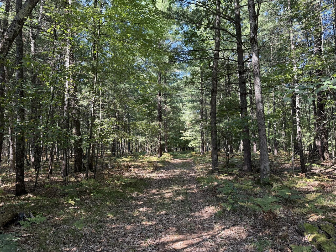 Photo 3 of Sale Pending at 9372 W 7 Mile Rd, Irons, MI 49644 | MLS# 70556748 | Listing updated on 2026-09-21