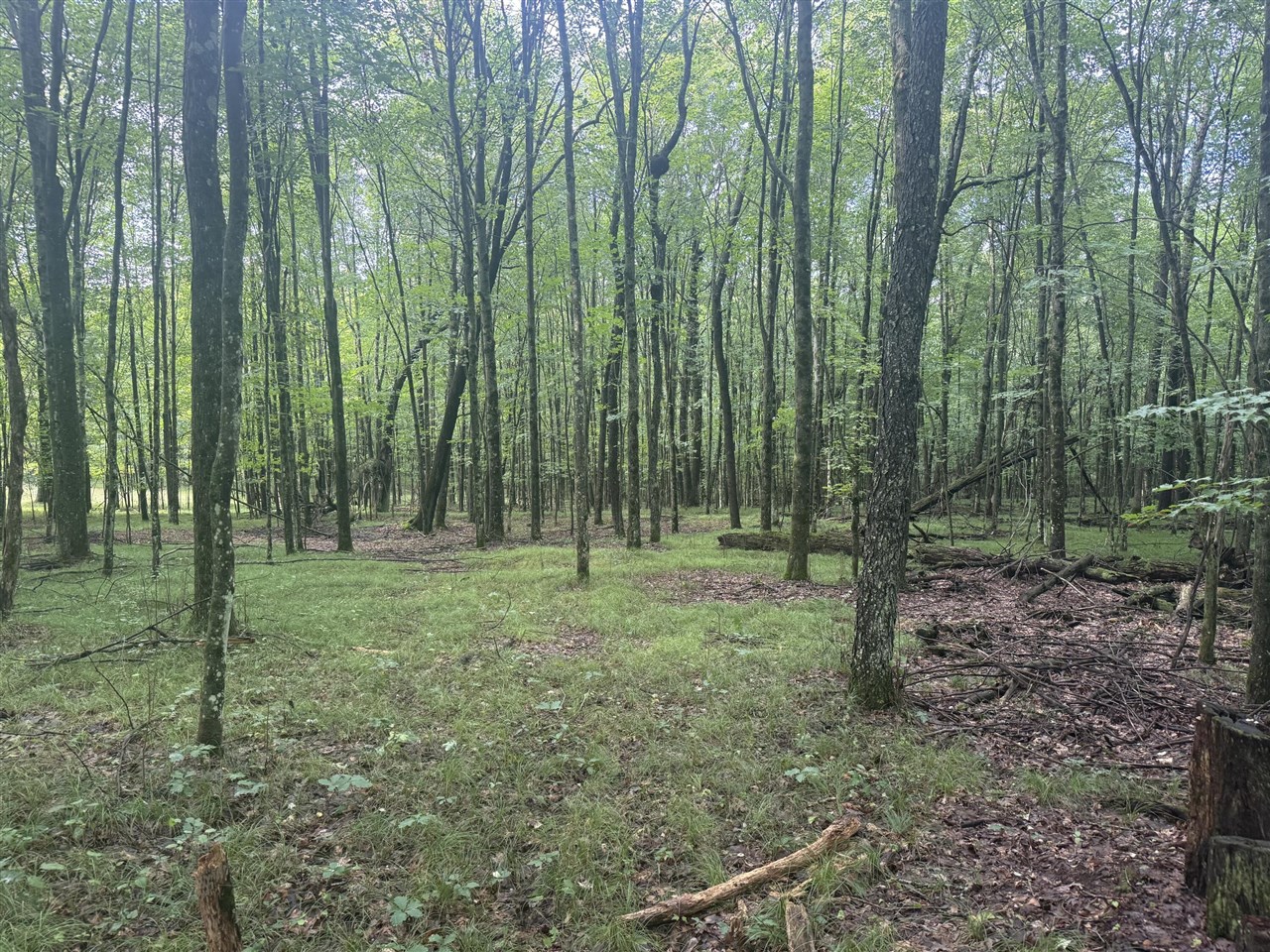 Photo 1 of Land for sale at E 68th Street, Chase, MI 49623 | MLS# 70556952 | Listing updated on 2026-09-30