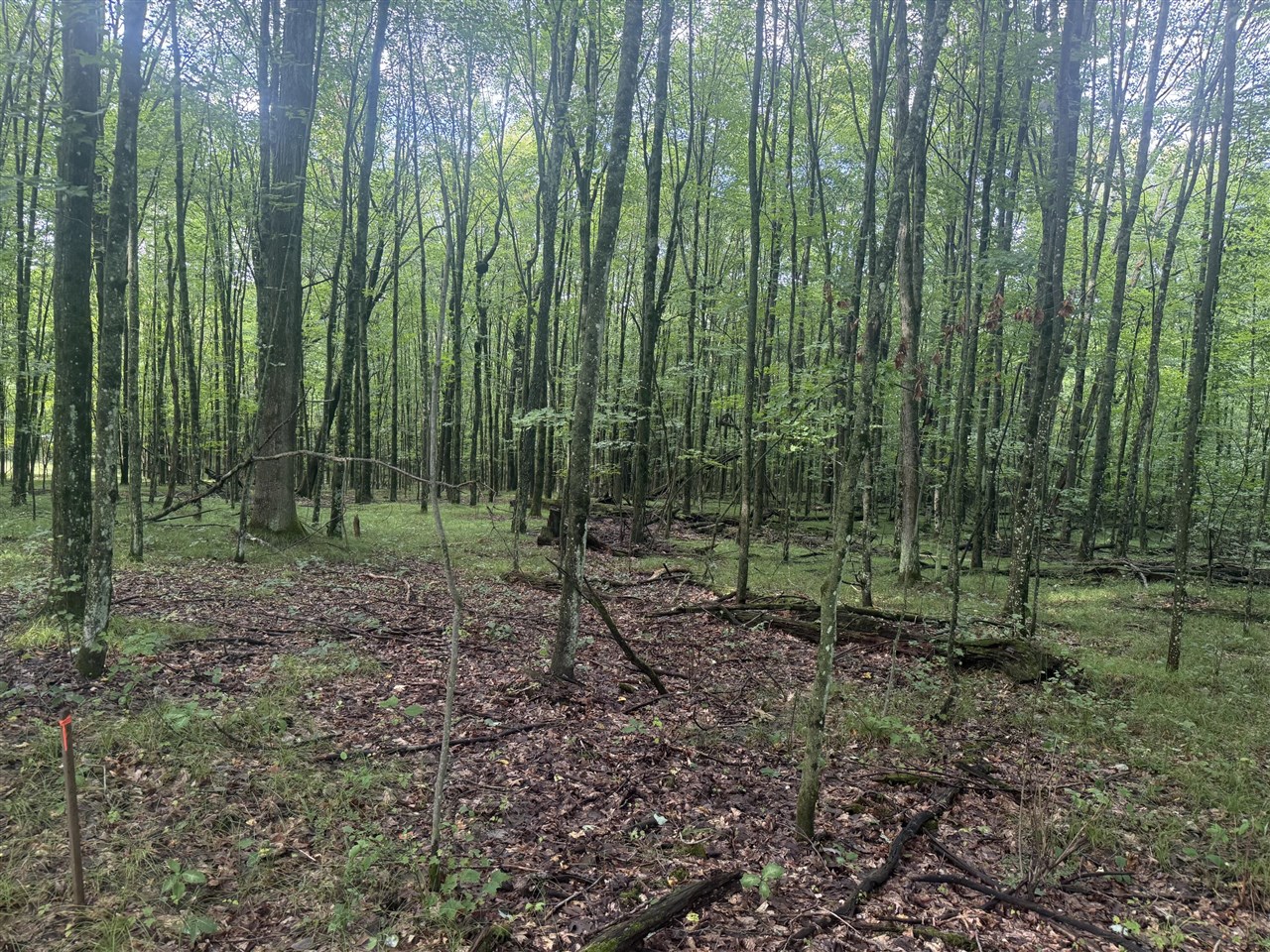Photo 3 of Land for sale at E 68th Street, Chase, MI 49623 | MLS# 70556952 | Listing updated on 2026-09-30