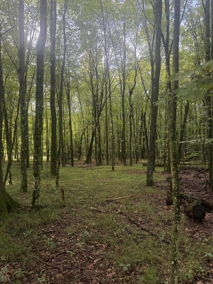 Photo 3 of Land for sale at E 68th Street, Chase, MI 49623 | MLS# 70556952 | Listing updated on 2026-09-30