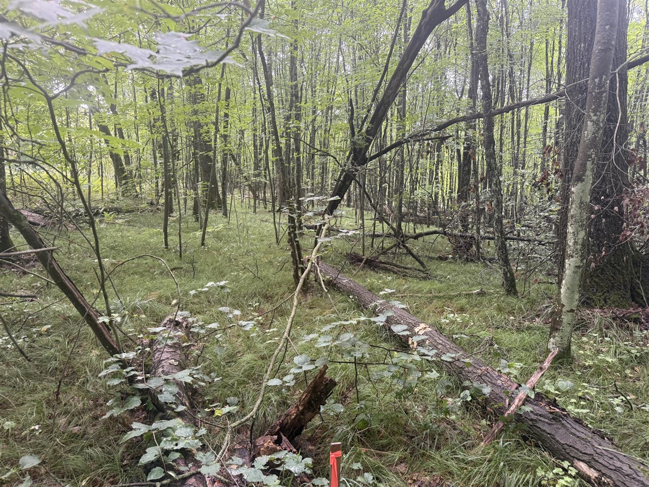 Photo 4 of Land for sale at E 68th Street, Chase, MI 49623 | MLS# 70556952 | Listing updated on 2026-09-30