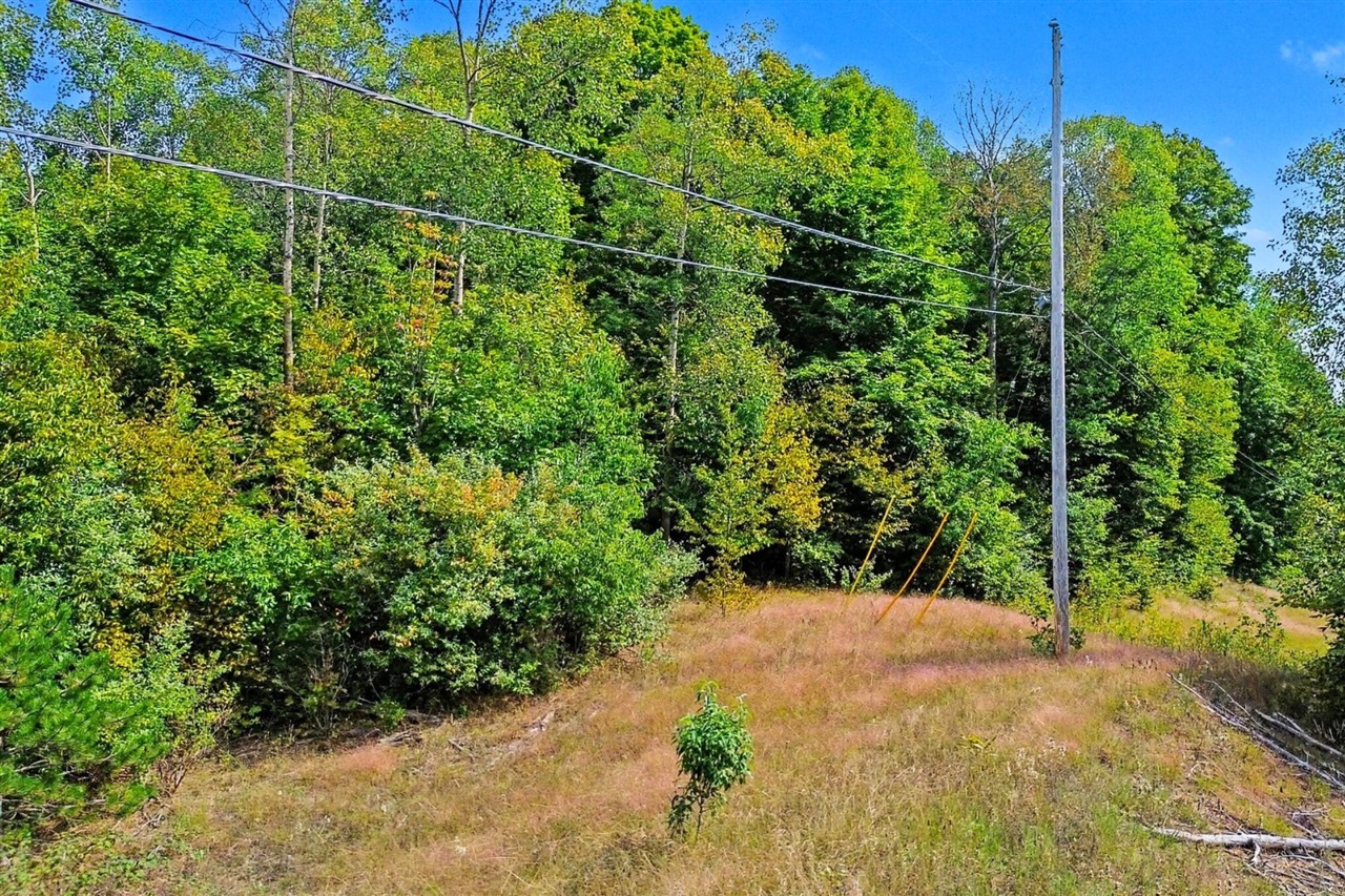 Photo 3 of Land for sale at 00000 Honor Hwy, Honor, MI 49640 | MLS# 70557028 | Listing updated on 2026-09-30