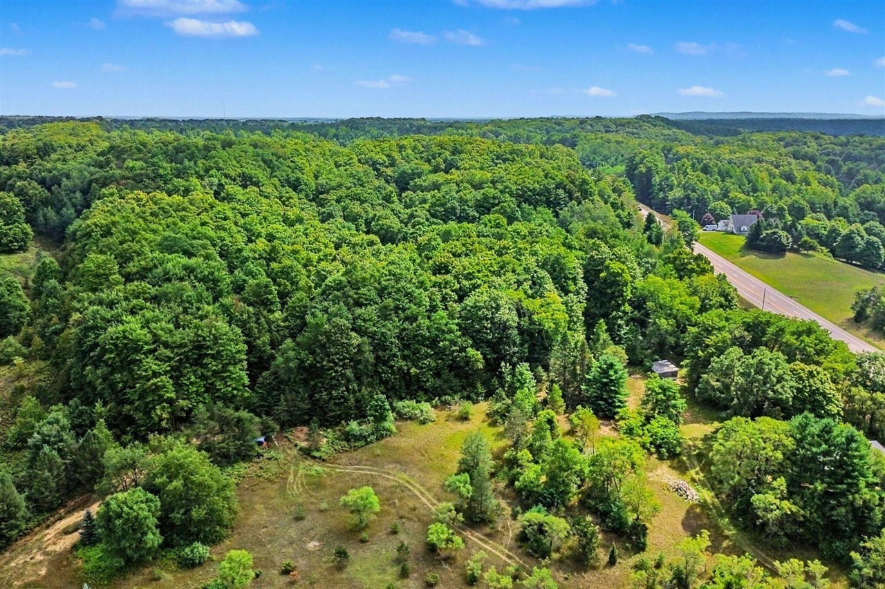 Photo 4 of Land for sale at Parcel A Honor Hwy, Honor, MI 49640 | MLS# 70557029 | Listing updated on 2026-09-30