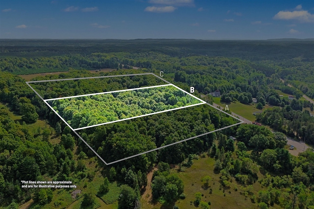 Photo 4 of Land for sale at Parcel B Honor Hwy, Honor, MI 49640 | MLS# 70557030 | Listing updated on 2026-09-30