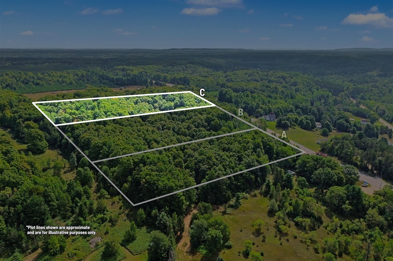 Photo 3 of Land for sale at Parcel C Honor Hwy, Honor, MI 49640 | MLS# 70557031 | Listing updated on 2026-09-30
