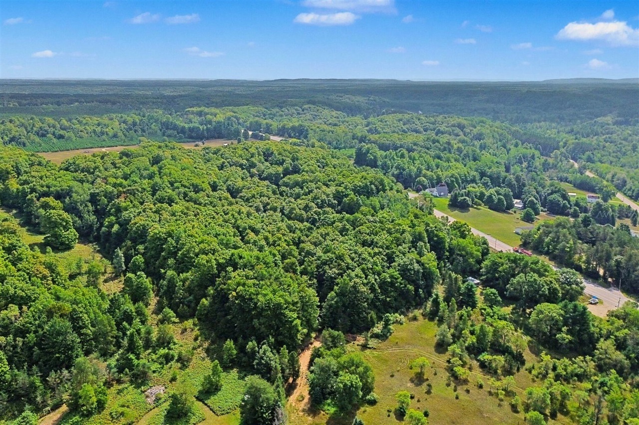 Photo 4 of Land for sale at Parcel C Honor Hwy, Honor, MI 49640 | MLS# 70557031 | Listing updated on 2026-09-30
