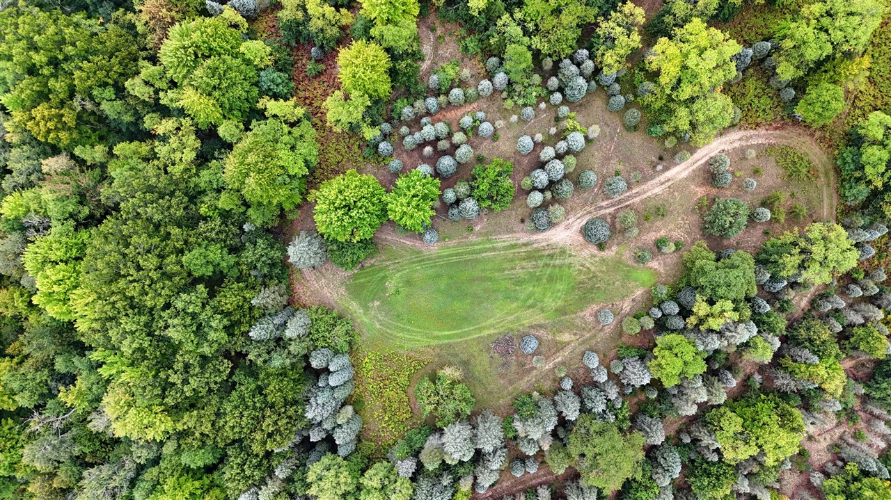 Photo 4 of Land for sale at 11845 E 24th Street, Reed City, MI 49677 | MLS# 70557042 | Listing updated on 2026-09-16
