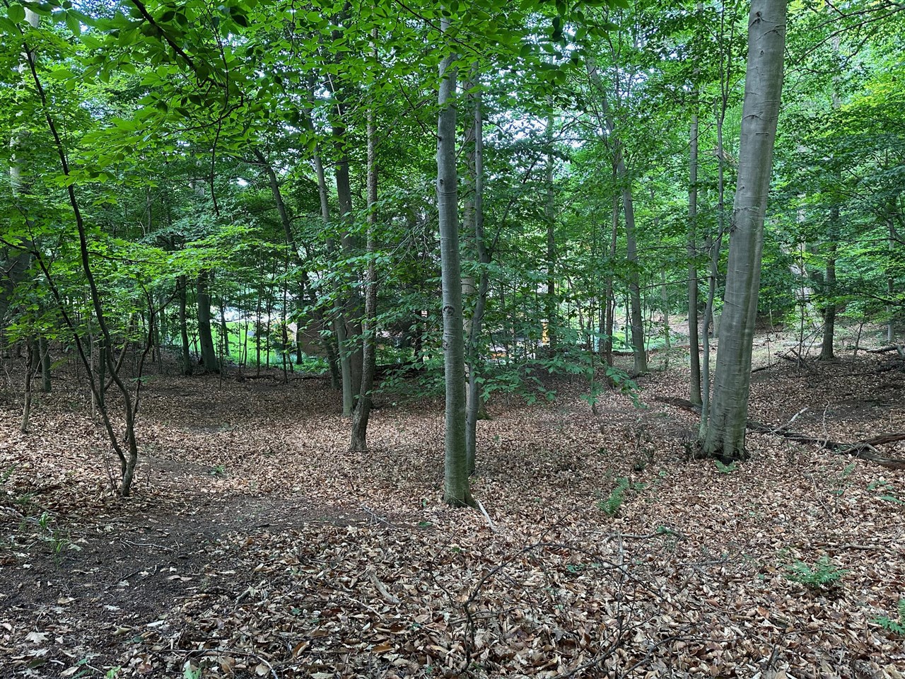 Photo 1 of Land for sale at 6625 Forest Beach Dr, Holland, MI 49423 | MLS# 70557051 | Listing updated on 2026-09-05