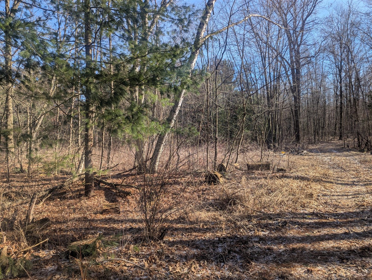 Land for sale at 00 E East, Montrose, MI 48457 | MLS# 70557093