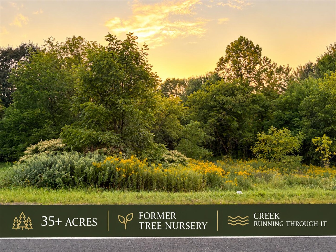 Land for sale at 32050 County Rd 681, Bangor, MI 49013 | MLS# 70557394