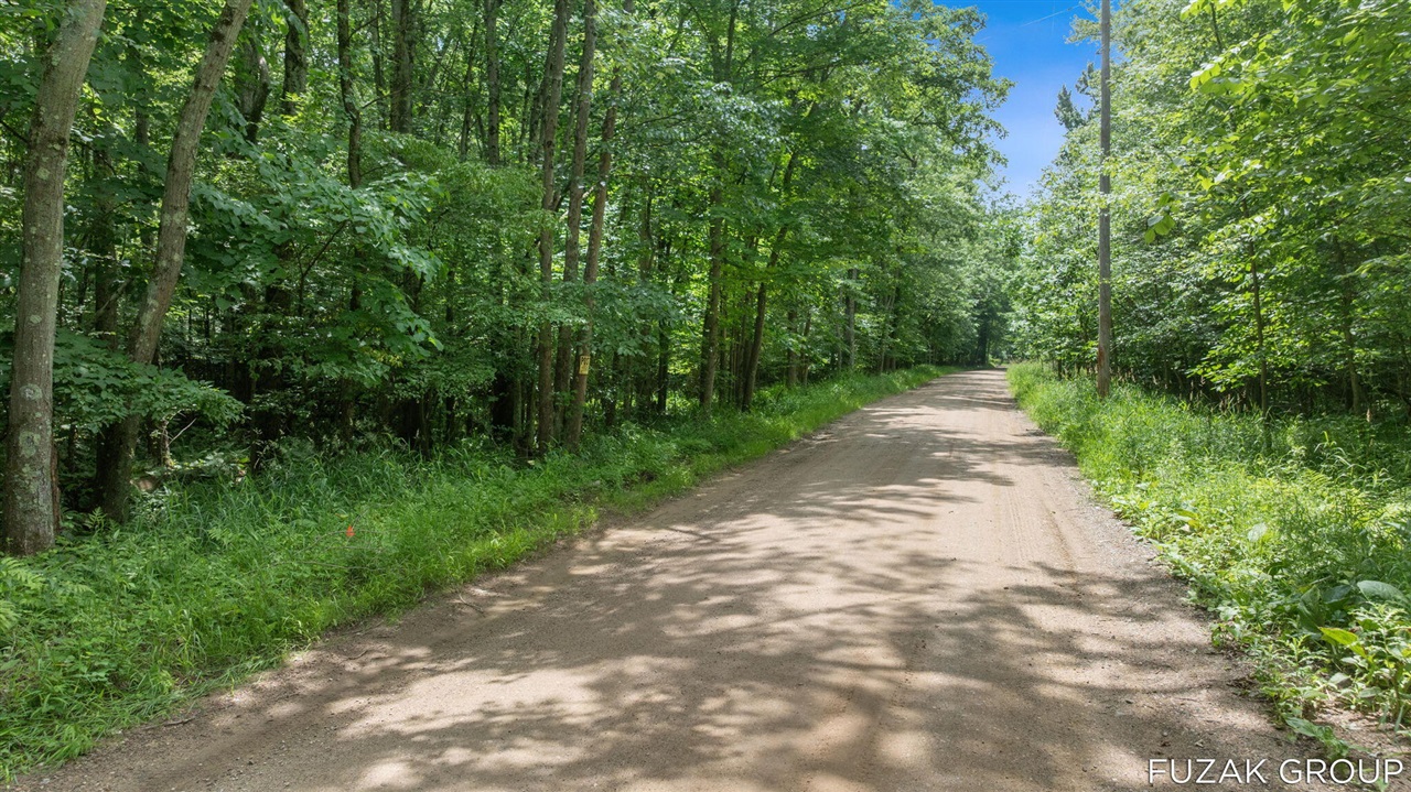 Photo 2 of Land for sale at Vl 36th Street, Hamilton, MI 49419 | MLS# 70557448 | Listing updated on 2026-09-19