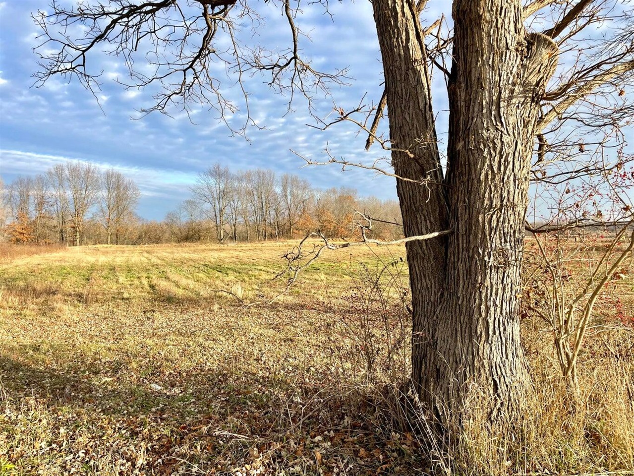 Photo 1 of Land for sale at Mooreville Rd, Saline, MI 48176 | MLS# 70557544 | Listing updated on 2026-09-16