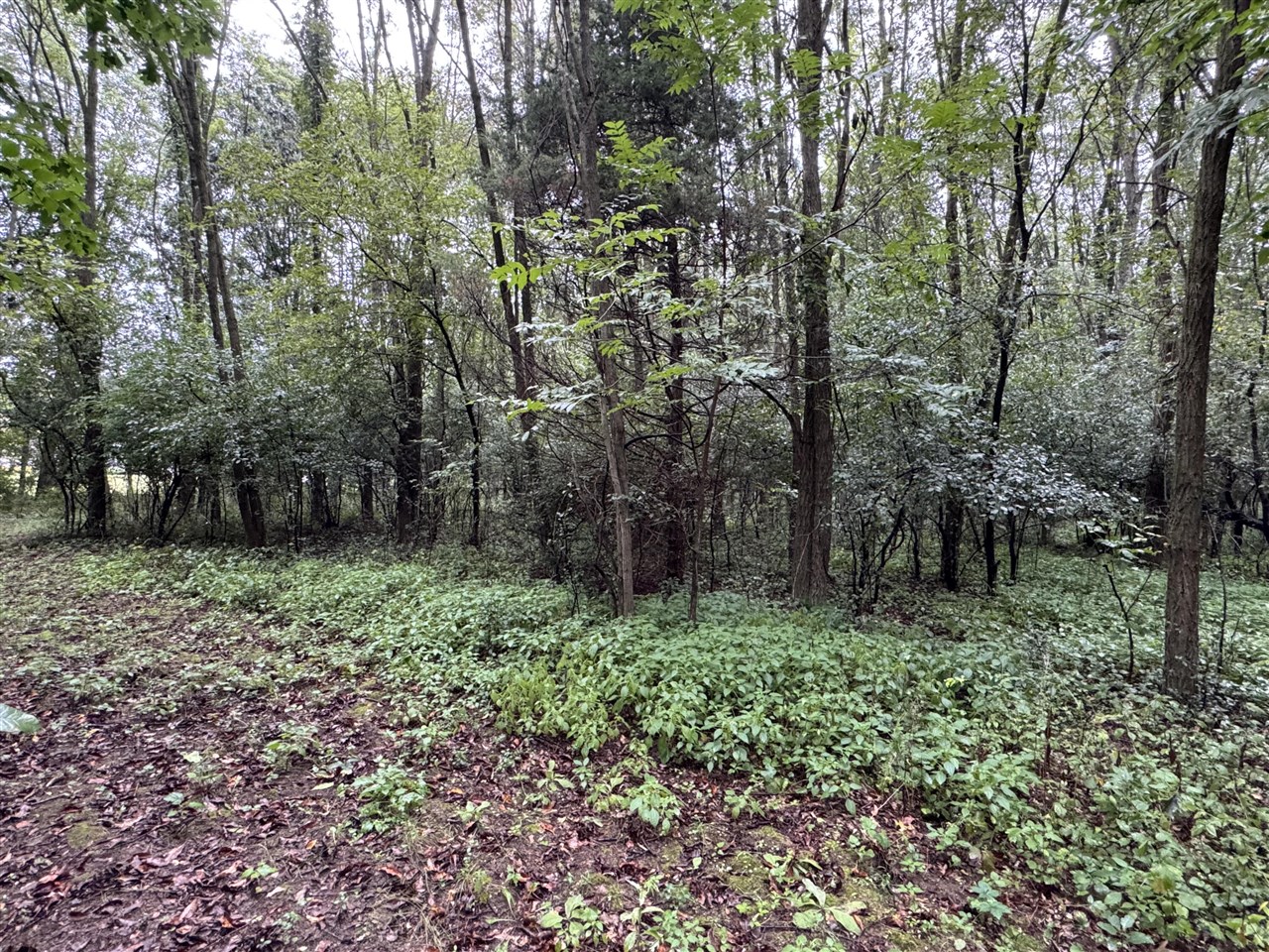Photo 2 of Sale Pending at Blue Ridge Rd, Jackson, MI 49201 | MLS# 70557633 | Listing updated on 2026-09-15