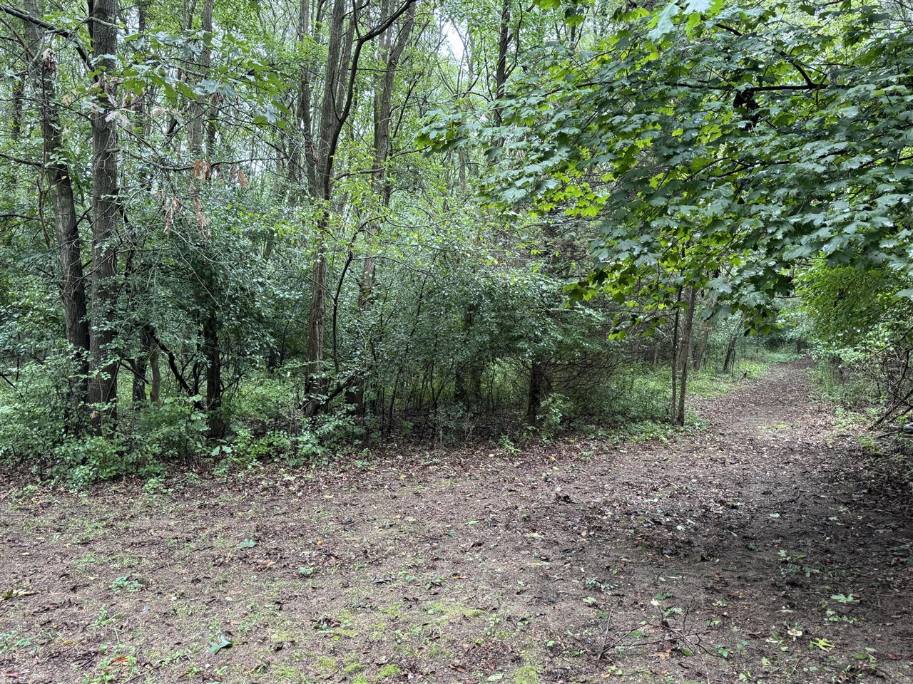 Photo 3 of Sale Pending at Blue Ridge Rd, Jackson, MI 49201 | MLS# 70557633 | Listing updated on 2026-09-15