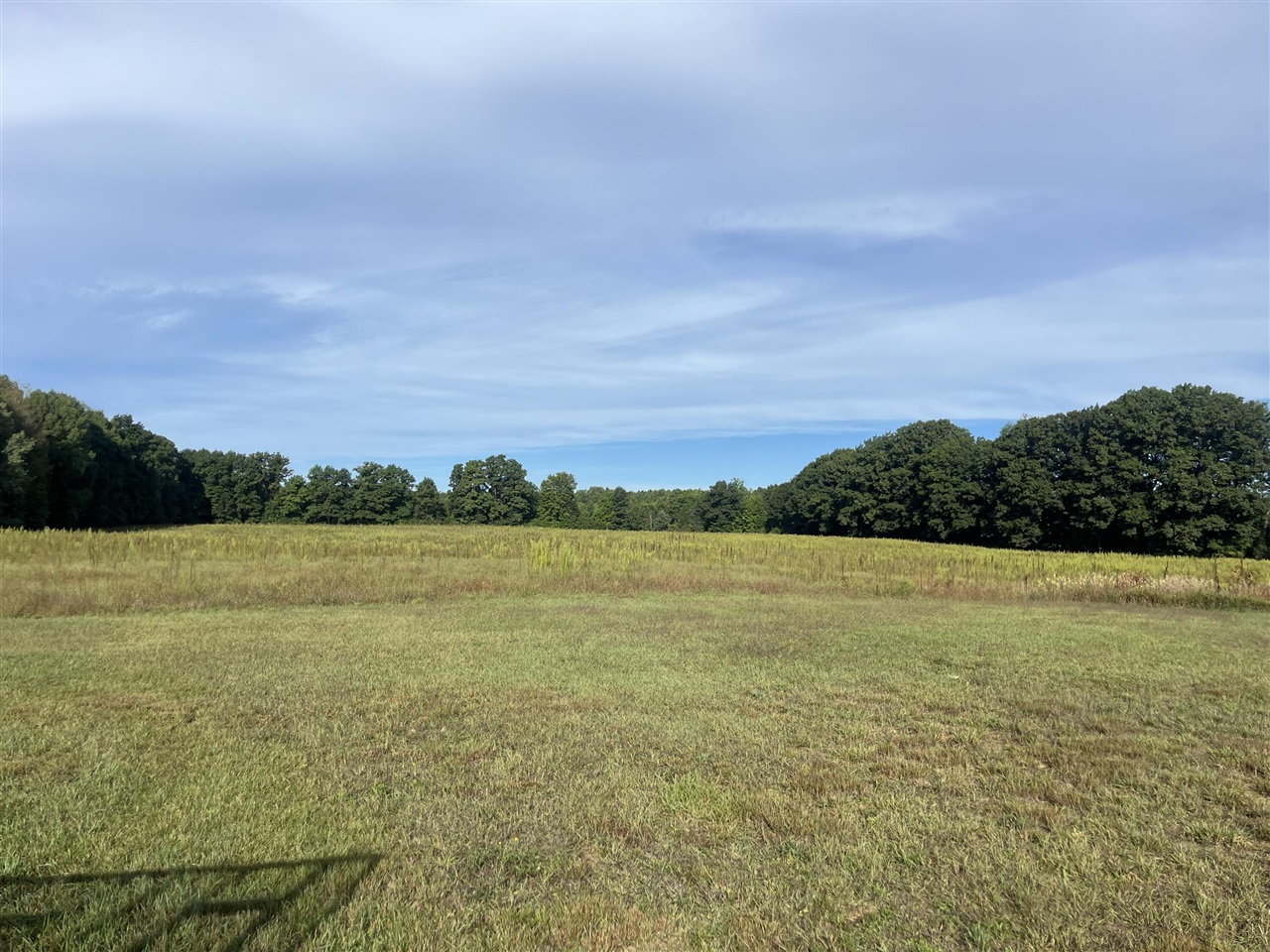 Photo 1 of Land for sale at 15833 Meddler Ave, Cedar Springs, MI 49319 | MLS# 70557700 | Listing updated on 2026-09-13