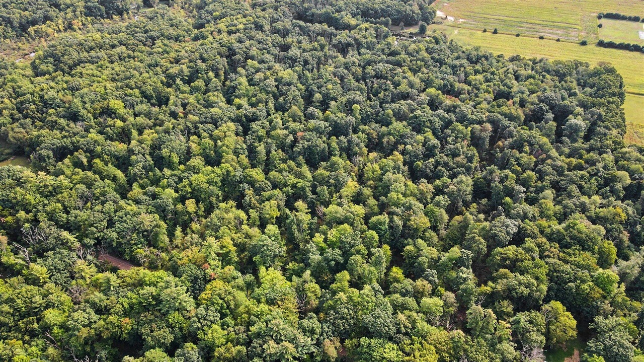 Photo 3 of Land for sale at 43001 32nd Street, Paw Paw, MI 49079 | MLS# 70557720 | Listing updated on 2026-09-29