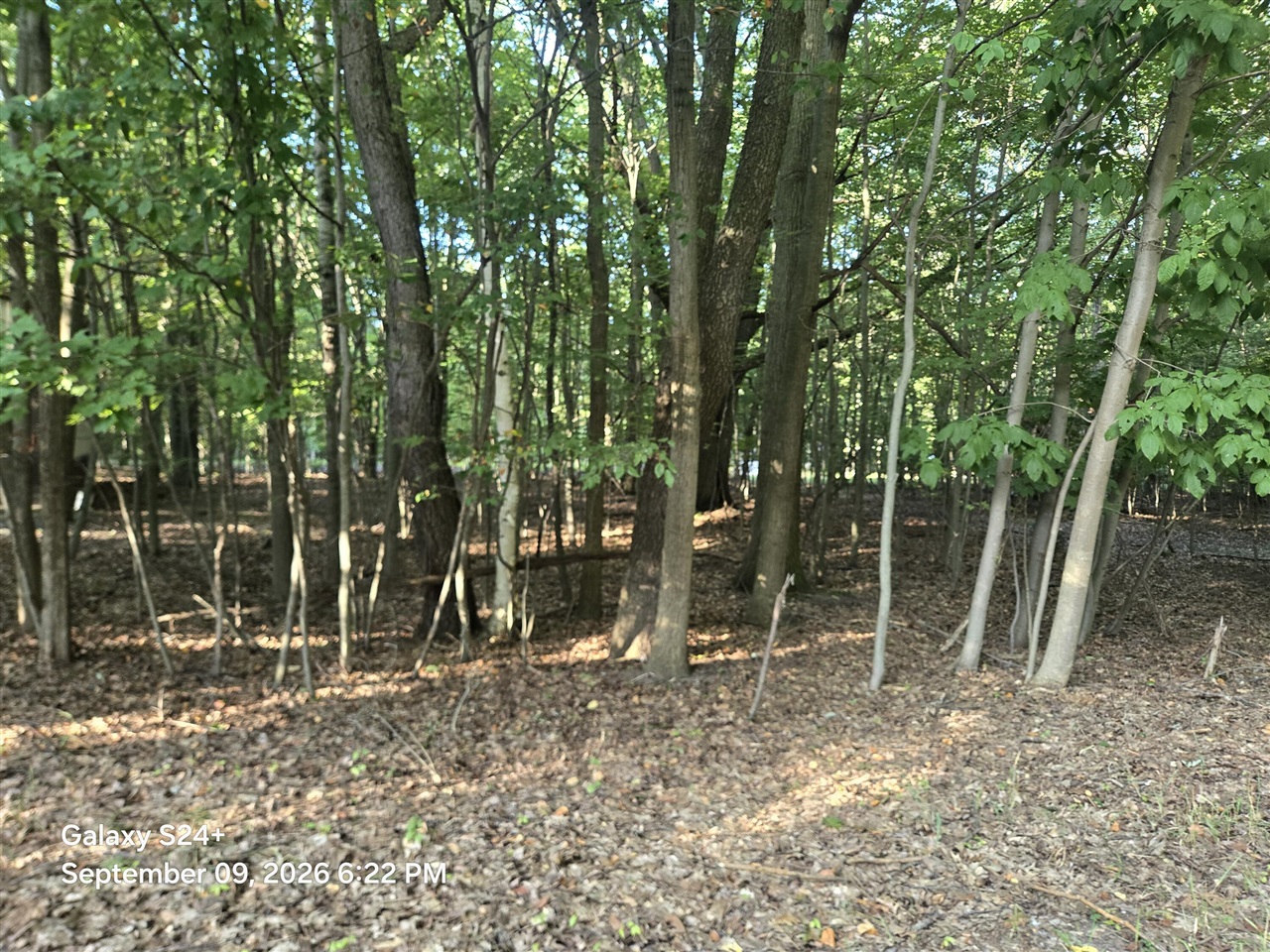 Photo 1 of Sale Pending at 4 W Lots Beech St, Ludington, MI 49431 | MLS# 70557904 | Listing updated on 2026-09-17