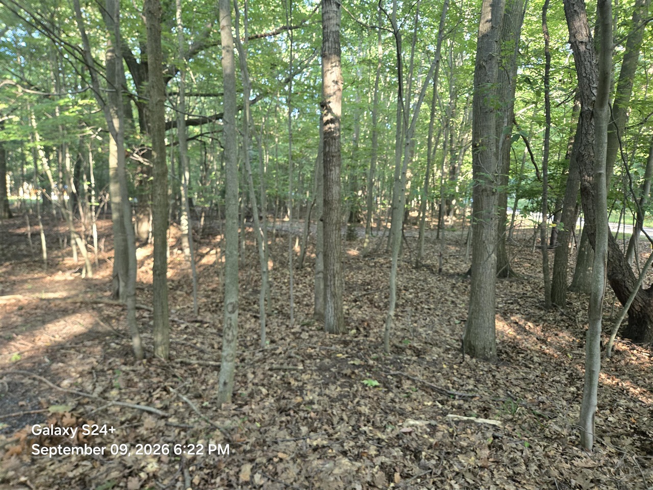 Photo 2 of Sale Pending at 4 W Lots Beech St, Ludington, MI 49431 | MLS# 70557904 | Listing updated on 2026-09-17