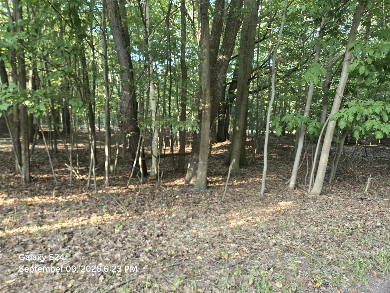 Photo 3 of Sale Pending at 4 W Lots Beech St, Ludington, MI 49431 | MLS# 70557904 | Listing updated on 2026-09-17