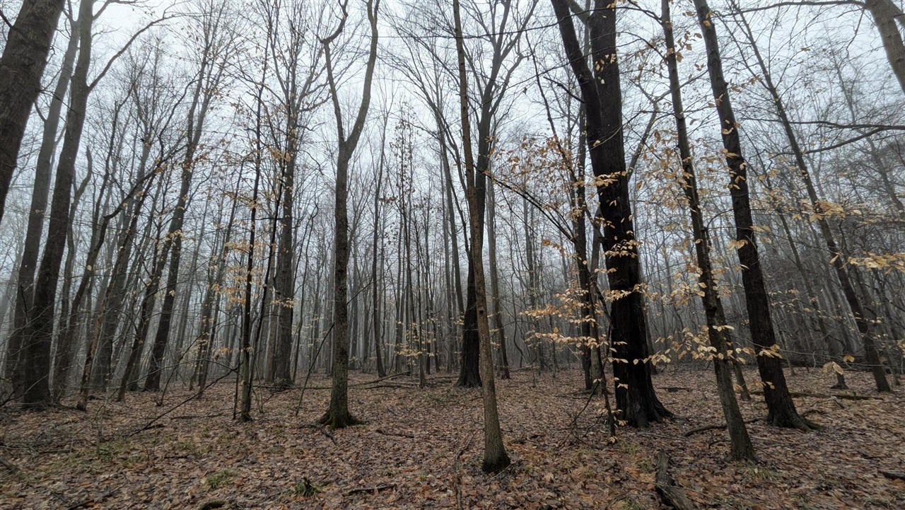 Photo 2 of Land for sale at Tuttle Hl Rd, Willis, MI 48191 | MLS# 70557917 | Listing updated on 2026-09-29