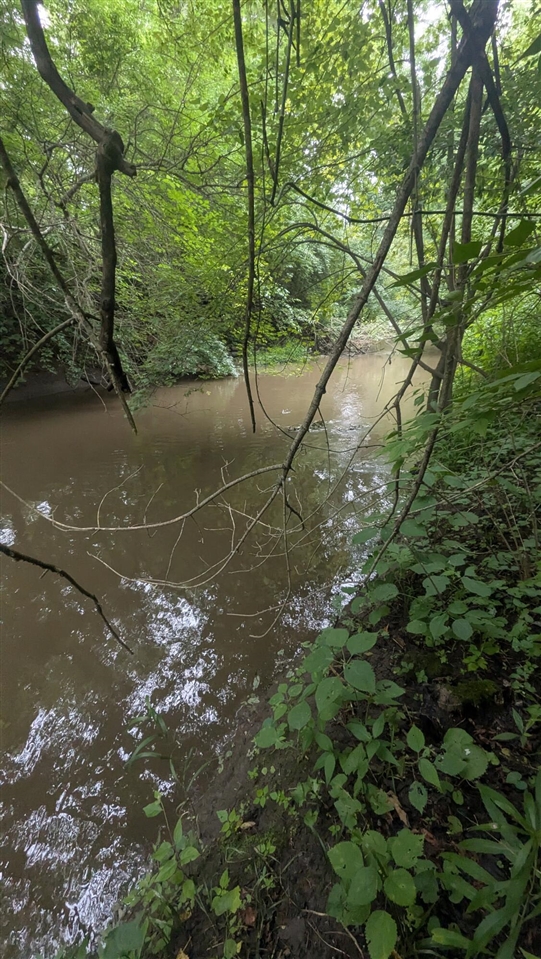 Photo 4 of Land for sale at Tuttle Hl Rd, Willis, MI 48191 | MLS# 70557917 | Listing updated on 2026-09-29