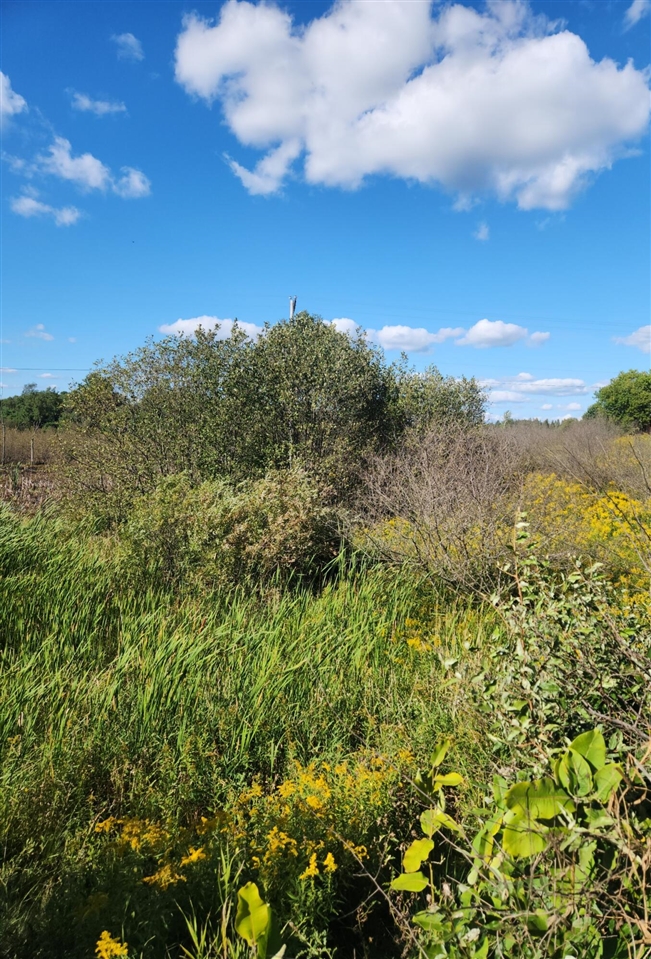 Photo 1 of Land for sale at 00 18 Mile Rd, Le Roy, MI 49655 | MLS# 70558001 | Listing updated on 2026-09-15