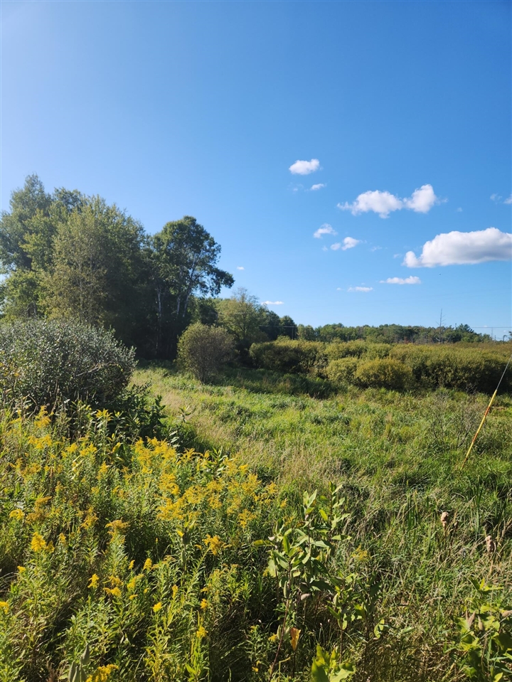 Photo 2 of Land for sale at 00 18 Mile Rd, Le Roy, MI 49655 | MLS# 70558001 | Listing updated on 2026-09-15