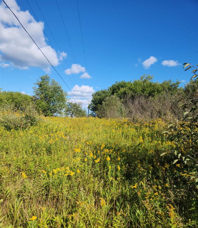 Photo 3 of Land for sale at 00 18 Mile Rd, Le Roy, MI 49655 | MLS# 70558001 | Listing updated on 2026-09-15