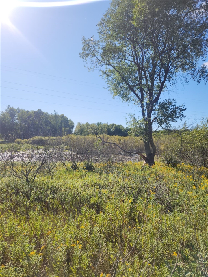 Photo 3 of Land for sale at 00 18 Mile Rd, Le Roy, MI 49655 | MLS# 70558001 | Listing updated on 2026-09-15